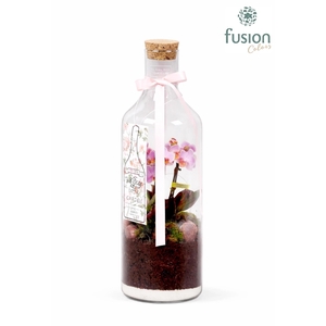 Love Green Bottle H43