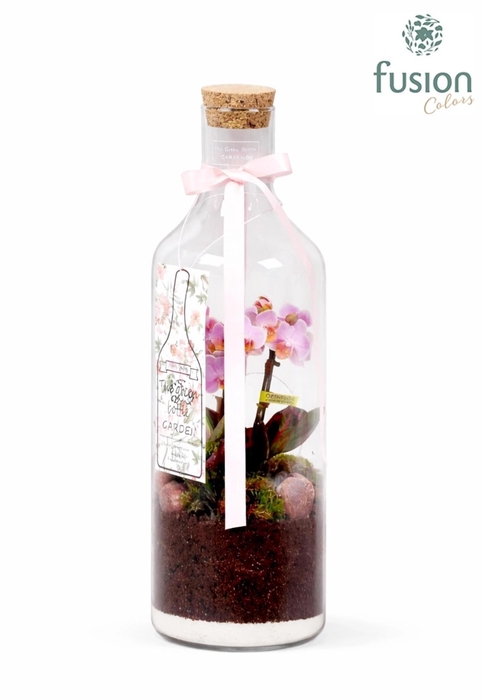 <h4>Love Green Bottle H43</h4>