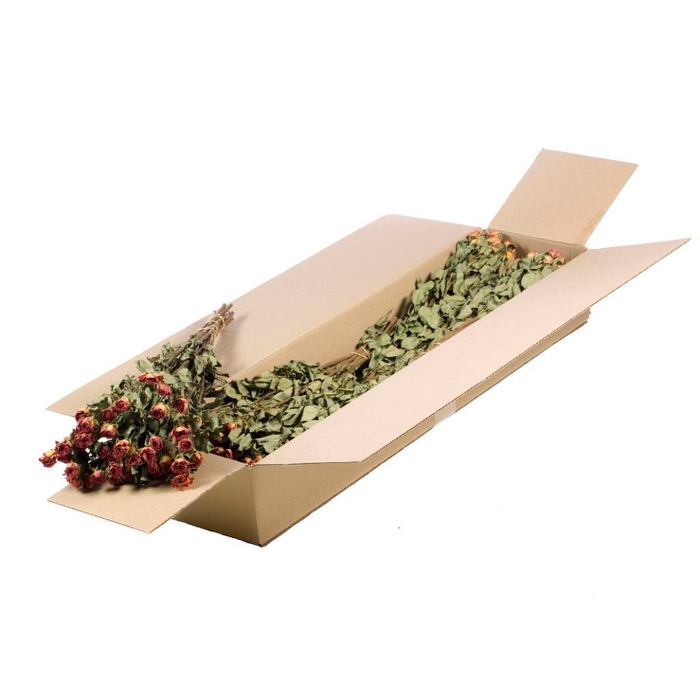 <h4>Roses Spray Sb Natural Orange</h4>