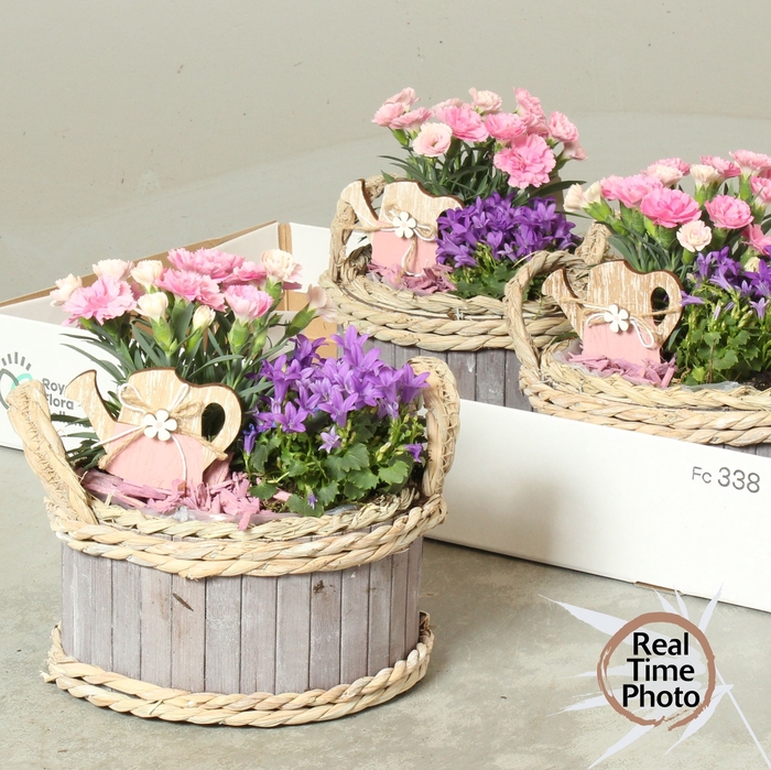 <h4>ARR TUINPLANTEN</h4>