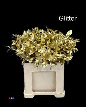 <h4>Ruscus Gold + Glit Bio</h4>