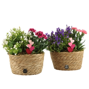 21998: Love outdoor arrangement