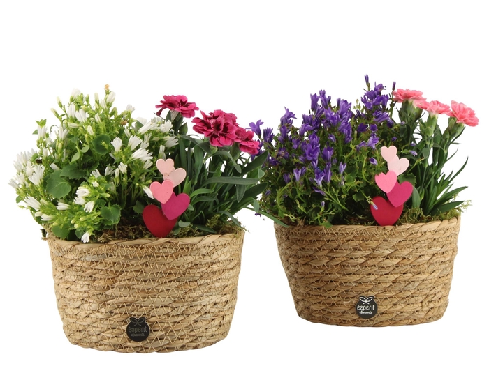 <h4>21998: Love outdoor arrangement</h4>