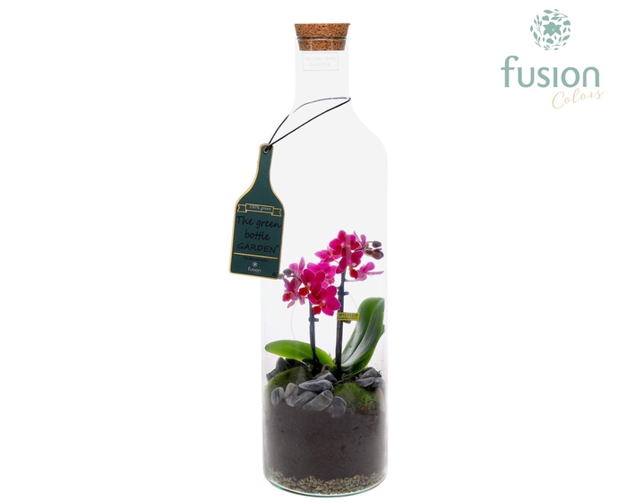 <h4>Green Bottle Fles Large met Phalaenopsis</h4>