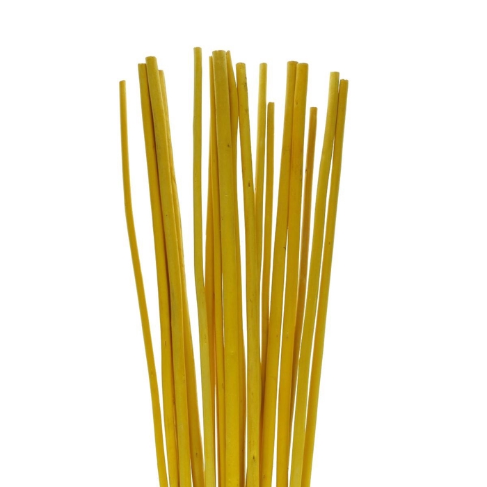 <h4>Dried articles Bamboostick 100cm x20</h4>