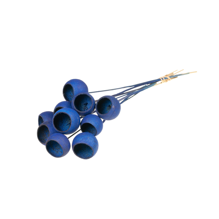 <h4>Bell Cup O/s 10pc Dark Blue</h4>