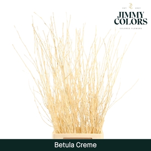 Betula L120 Creme