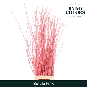 Betula L120 Pink