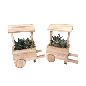 Arr.   Kamerplant Groen L%