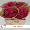 R Gr Pink N Pretty