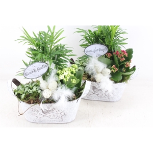 arr2 TD - Zink ovaal easter - roze/wit