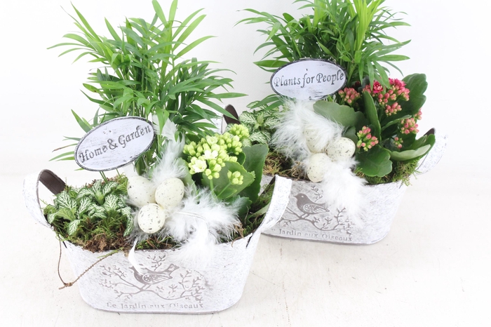 <h4>arr2 TD - Zink ovaal easter - roze/wit</h4>