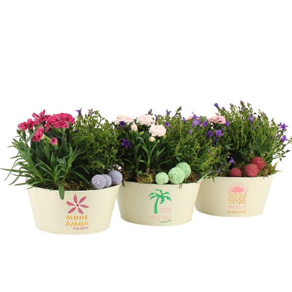 <h4>31608: Outdoor summer arrangement</h4>