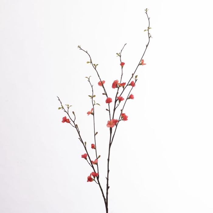 <h4>Af Chaenomeles L142cm Salmon</h4>