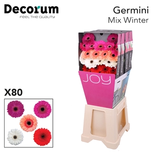 Germini Mix Winter Diamond
