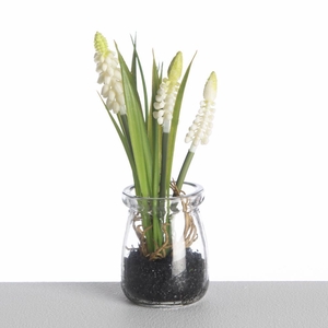 AFMuscari in glass H18cm white