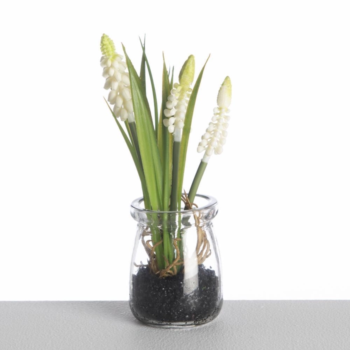 AFMuscari in glass H18cm white