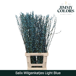 Salix Katjes L90 Klbh. Licht Blauw