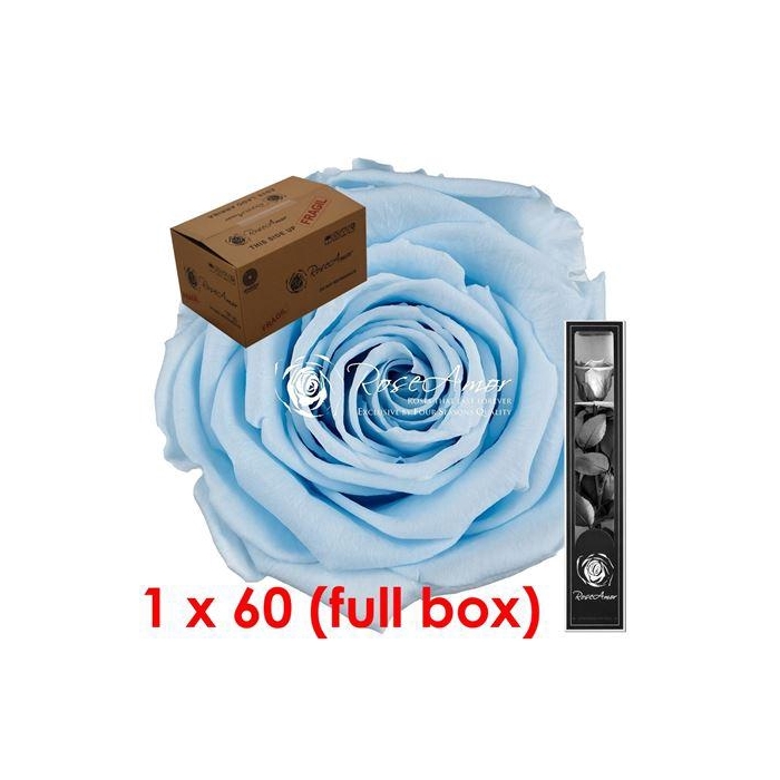 <h4>30cm Stem Blu89 Bulk</h4>