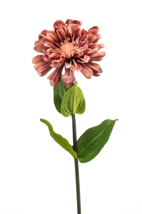 <h4>Zinnia spray mauve 55cm</h4>