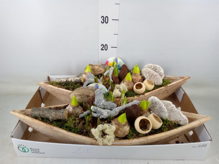 <h4>Arr. Bol/Knolgewas L%</h4>