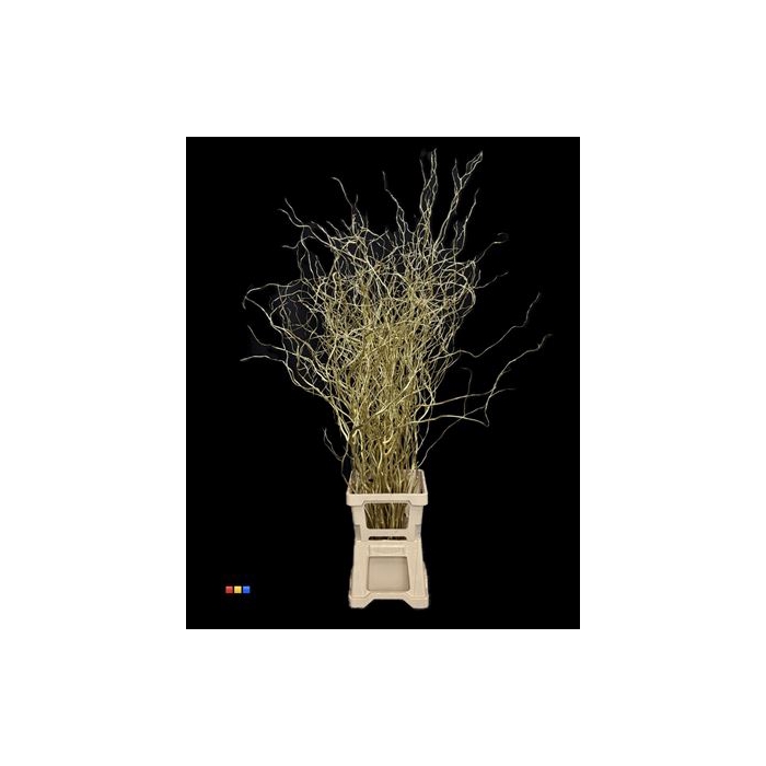 <h4>Salix 130cm Gold</h4>