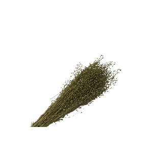 Lepidium Green Natural