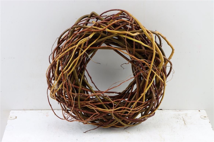 <h4>Wr Willow Curly Willow 30cm</h4>