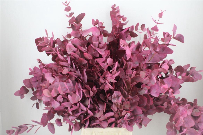 <h4>Euca Cinerea Rosa Pesco 150gr P Bunch</h4>