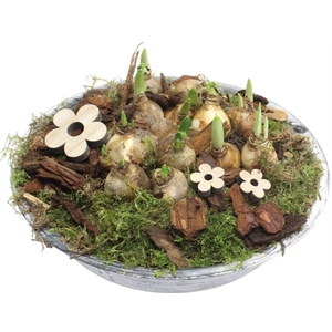 8422  ZINK ANTIEK BM