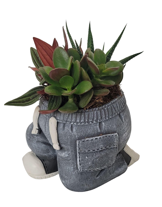 <h4>Arr.   Kamerplant Groen L%</h4>