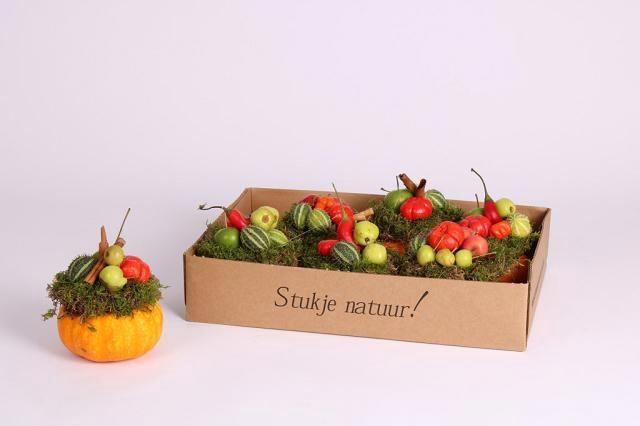 <h4>CUCURBITA</h4>
