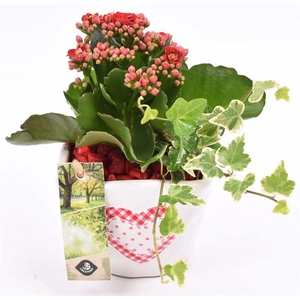 Keramiek met hart 10x10