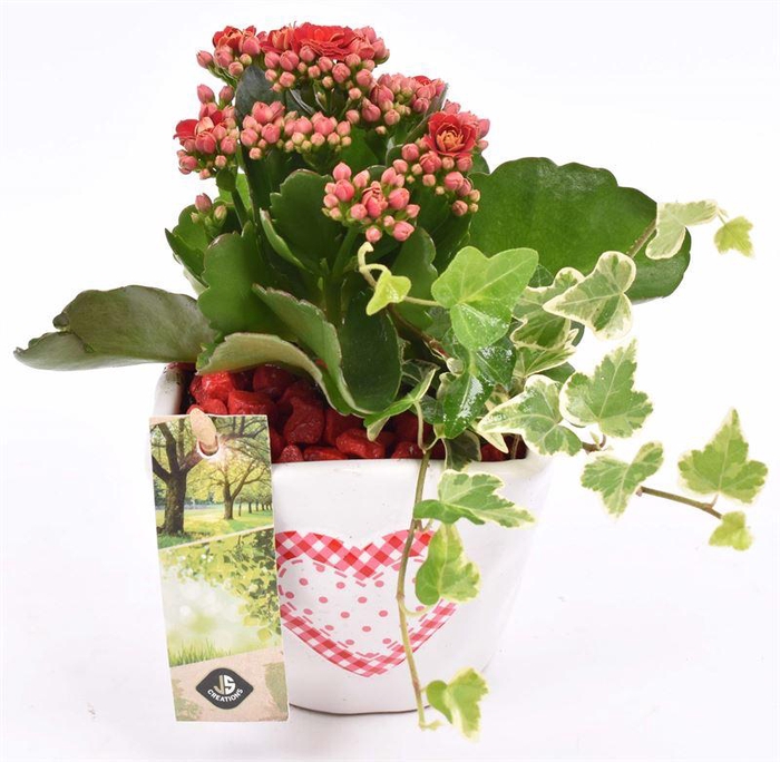 <h4>Keramiek met hart 10x10</h4>