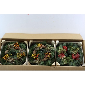 Wr Sierfruit Christmas 30cm Extra (melli)