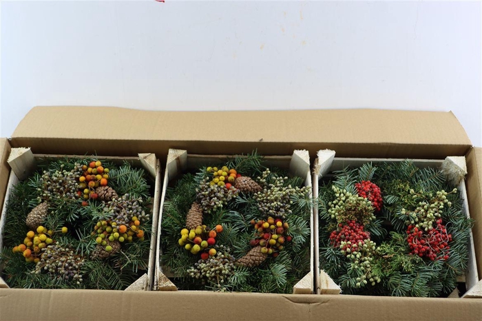 <h4>Wr Sierfruit Christmas 30cm Extra (melli)</h4>