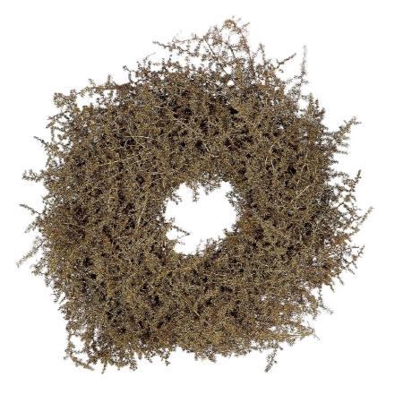 Wreath Asparagus Glitter D40