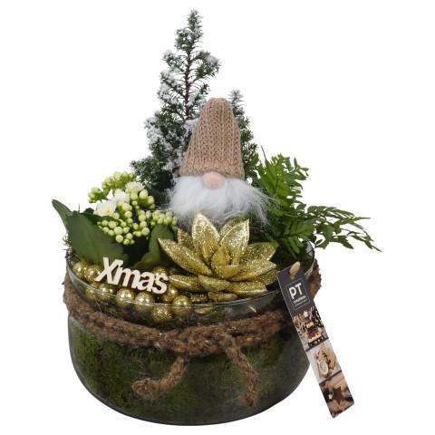 <h4>PTCHG5734 Arrangement Christmas Gold in glas schaal</h4>
