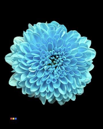 <h4>Chr S Cash Pastel Blue</h4>