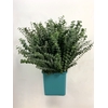 METAL EUCA BABY BLUE SILVER 200GR