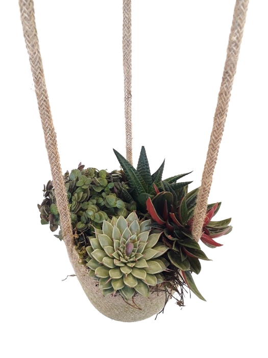 <h4>JH13ECLR Jute hangmand mini succulentmix</h4>