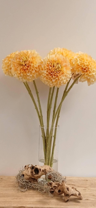 <h4>DAHLIA PEACH FL440337PEA L65</h4>