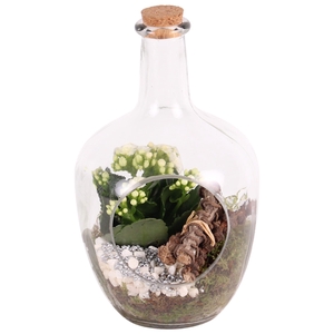 Yearround Arr. Glass Vase with Hole Ø15cm 1PP