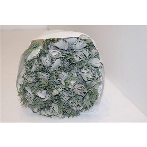 ANEMONE MARIANNE POUDREE GRISE