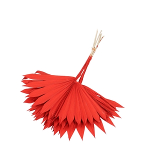 Opruiming Palm Sun 55cm x6