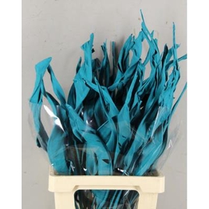 Df Strelitzia Leaf Turquoise