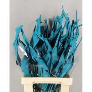 Df Strelitzia Leaf Turquoise