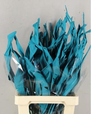 Df Strelitzia Leaf Turquoise