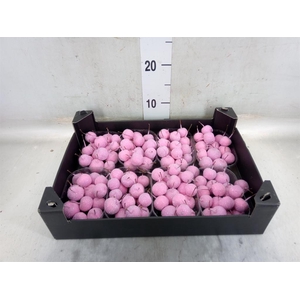 Decoratieve materialen   ...H%