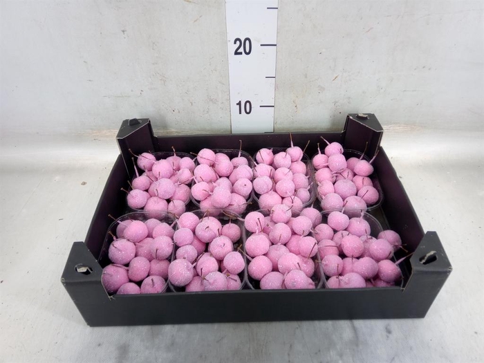 <h4>Decoratieve materialen   ...H%</h4>